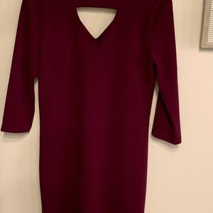 Banana Republic Eggplant/Purple Dress
